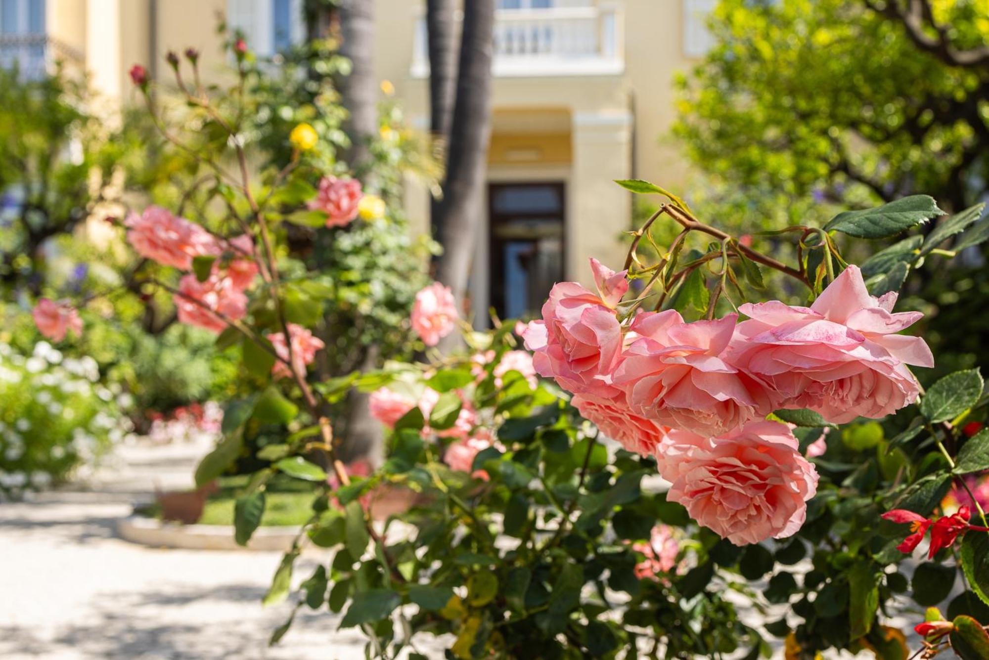 Hotel Villa Elisa & Spa Bordighera Eksteriør bilde