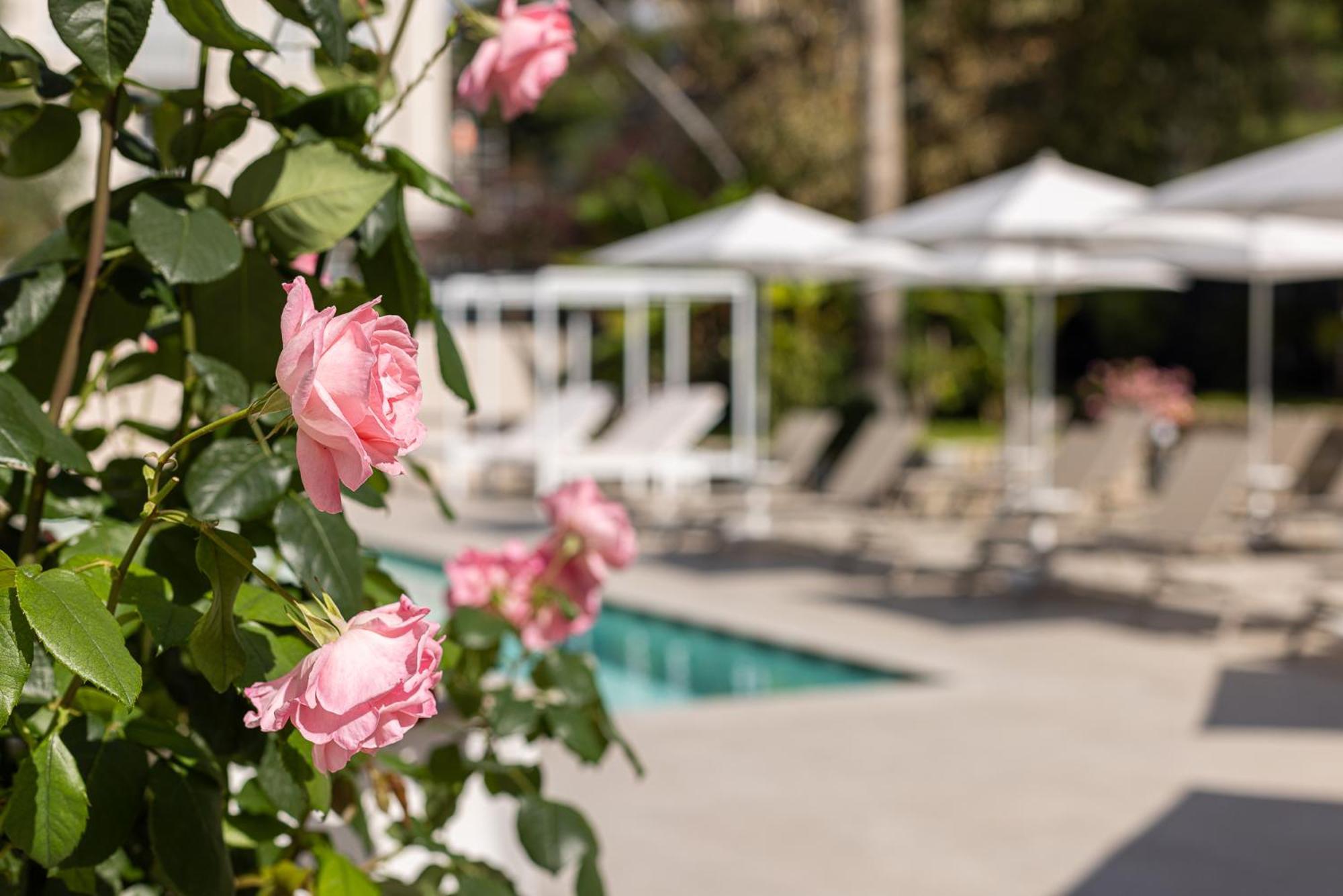 Hotel Villa Elisa & Spa Bordighera Eksteriør bilde