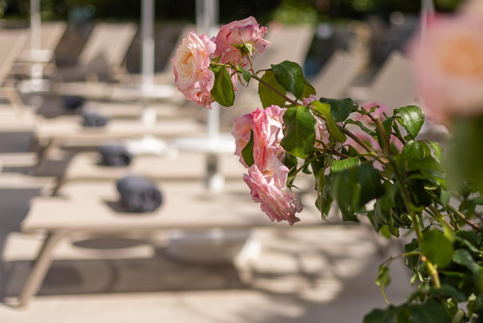 Hotel Villa Elisa & Spa Bordighera Eksteriør bilde