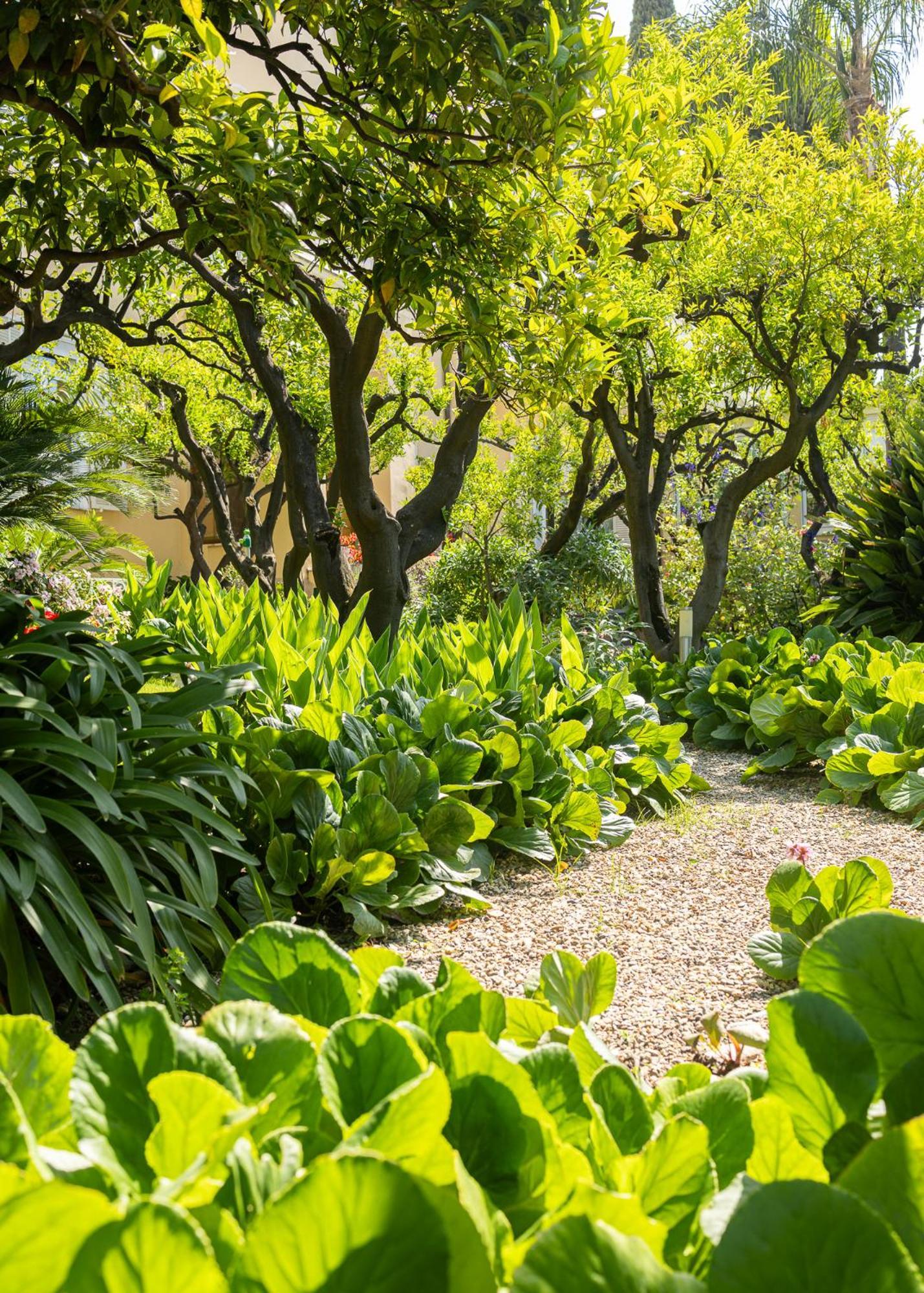 Hotel Villa Elisa & Spa Bordighera Eksteriør bilde